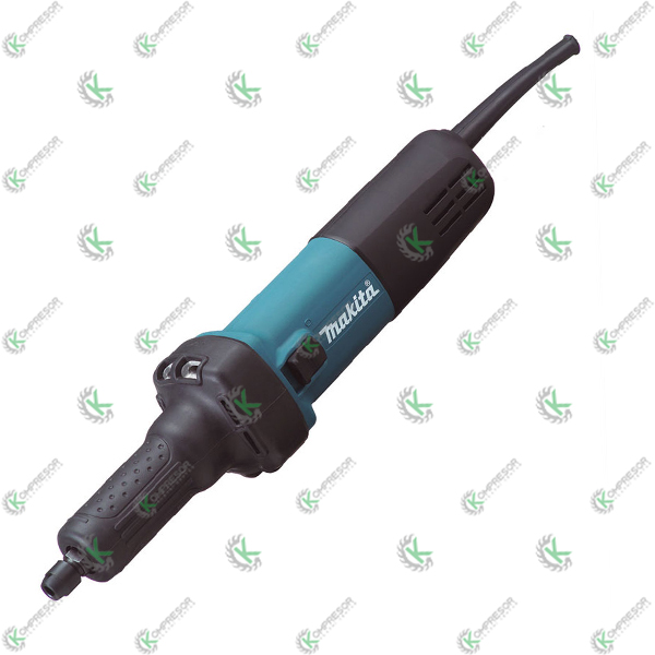 V00491